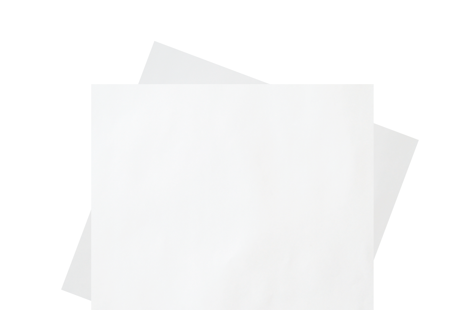 carta vegetale alimenti